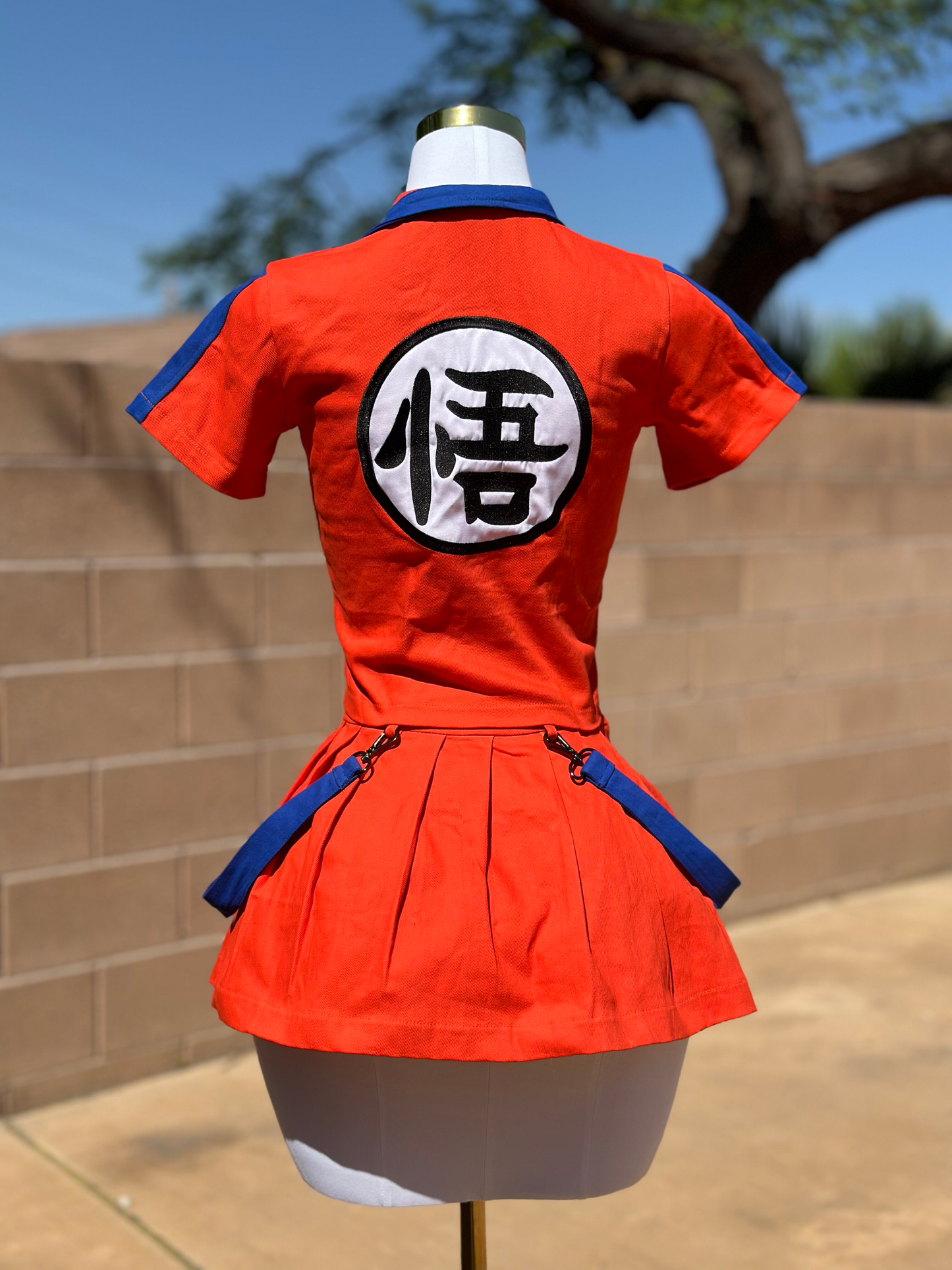 Queen Of The Saiyans Set